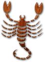 skorpion-goroskop